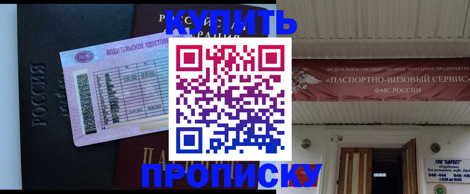 временная регистрация поиск в Камышлове